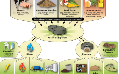 The 4-Way Waste Mandate: Why India’s New Trash Rules Are a Hidden Subsidy for CBG Developers