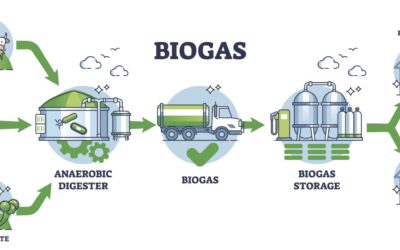 Trash to Treasure: How a Biogas Plant Works (Step-by-Step)
